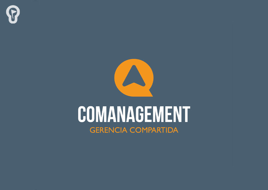 comanagement comanagement