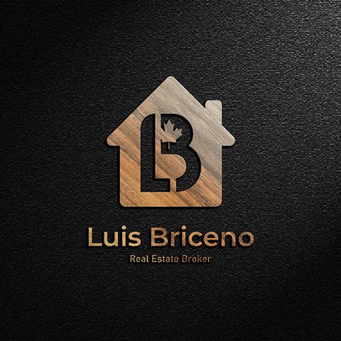 luis-briceno-06