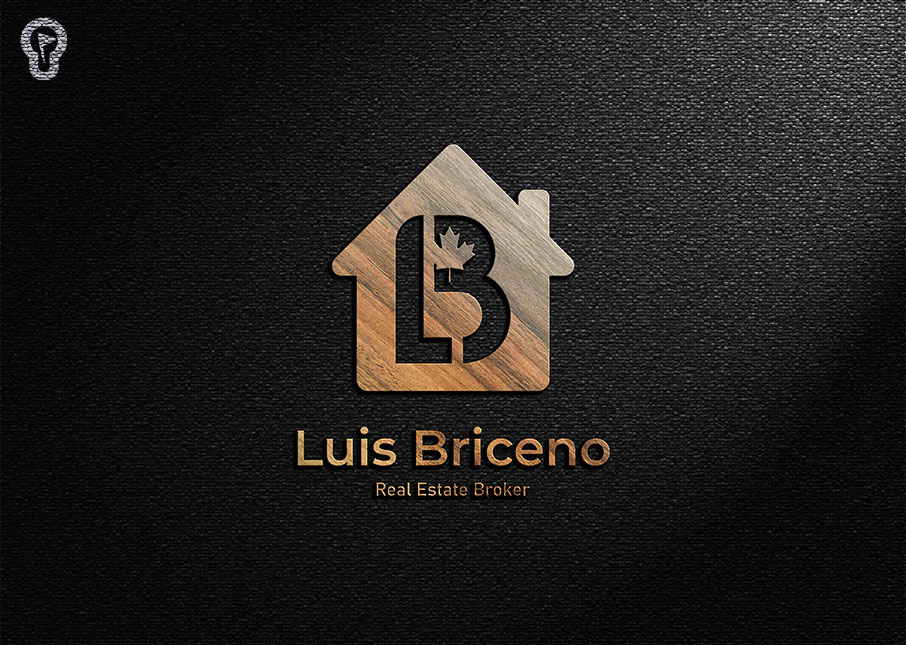 luis-briceno-06 luis-briceno-06